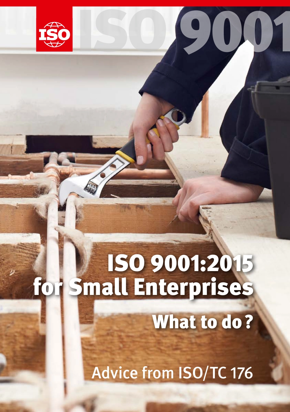 ISO 9001-2015 for Small Enterprises - What to do.pdf_第1页