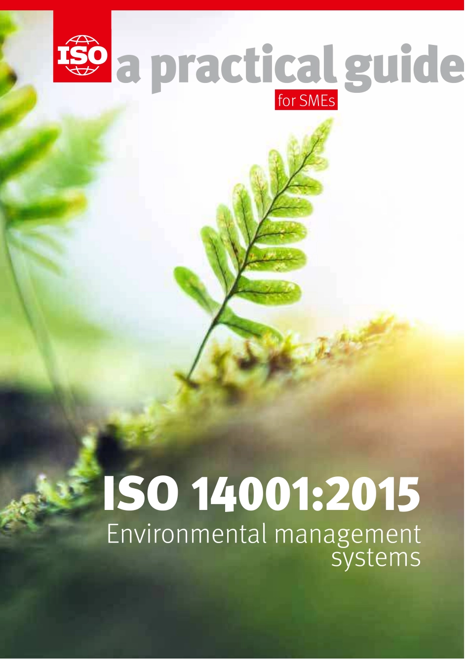 ISO 14001-2015 Environmental management systems. A practical guide for SMEs 2017.pdf_第1页