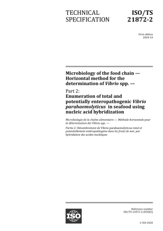 ISO TS 21872-2-2020.pdf