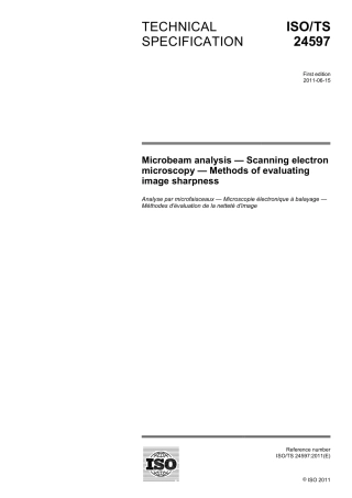 ISO TS 24597-2011.pdf