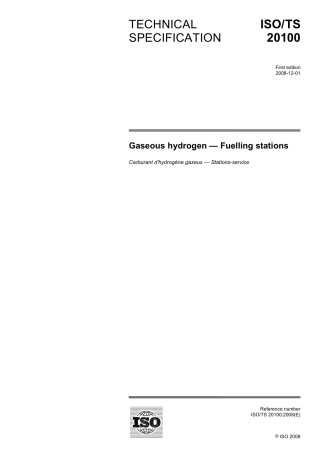 ISO TS 20100-2008.pdf