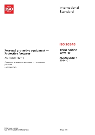 ISO 20346-2021 amd1-2024.pdf
