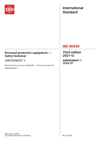 ISO 20345-2021 amd1-2024.pdf