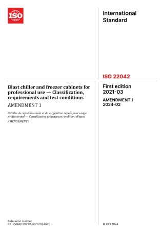 ISO 22042-2021 amd1-2024.pdf