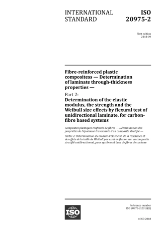 ISO 20975-2-2018.pdf