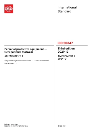 ISO 20347-2021 amd1-2024.pdf