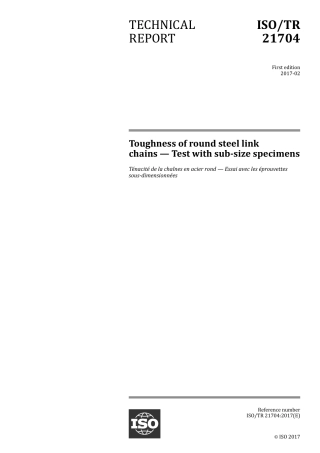 ISO TR 21704-2017.pdf
