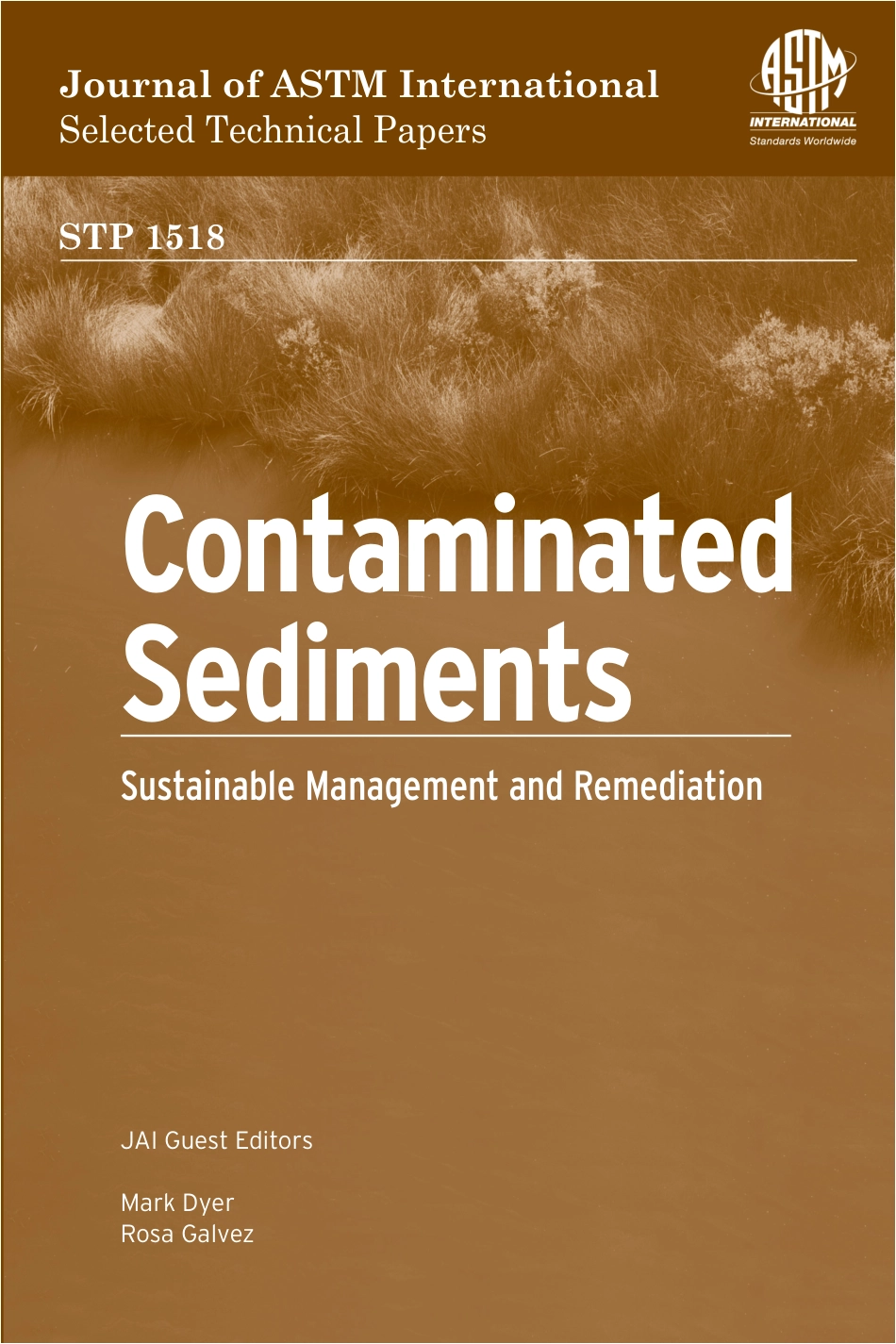 ASTM STP 1518-2010.pdf_第1页