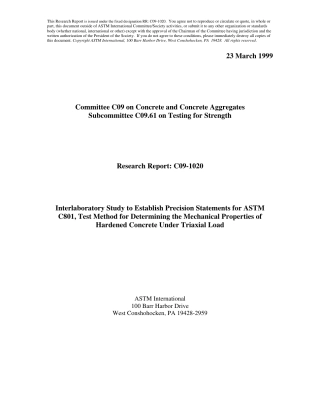 ASTM RR-C09-1020 1999.pdf