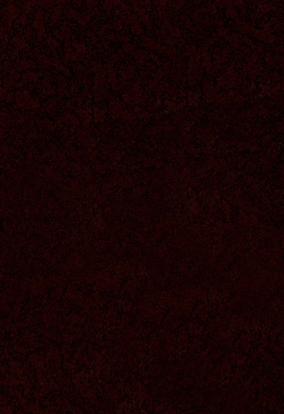 ASTM STP 173-1956.pdf_第1页