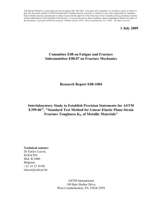 ASTM RR-E08-1004 2009.pdf