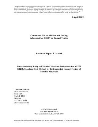 ASTM RR-E28-1038 2009.pdf