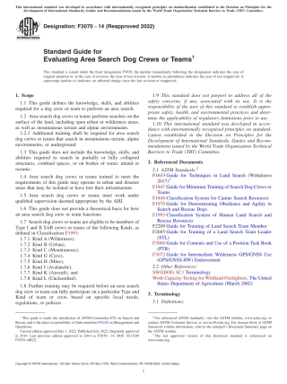 ASTM F3070 - 14 (2022).pdf