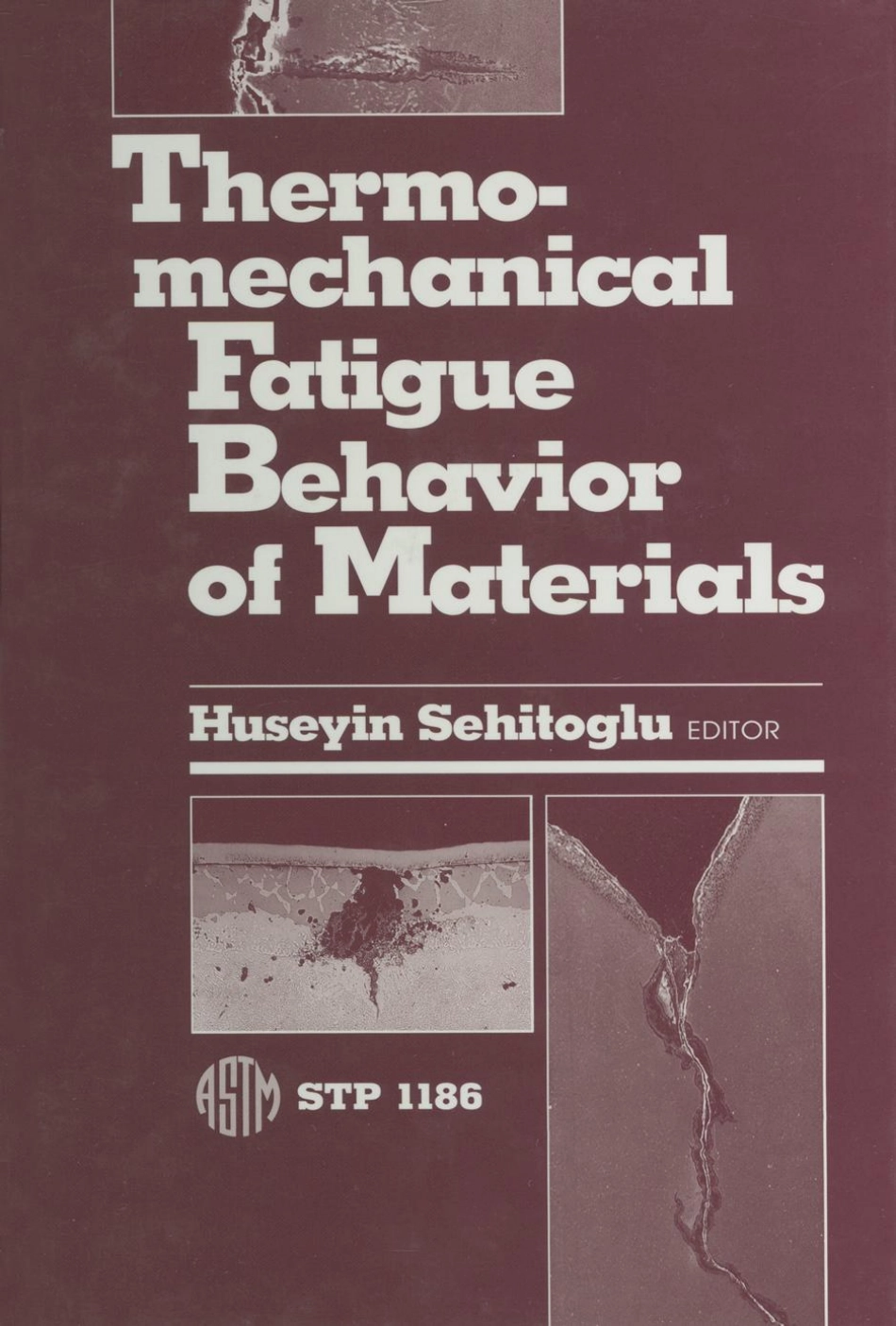 ASTM STP 1186-1993.pdf_第1页