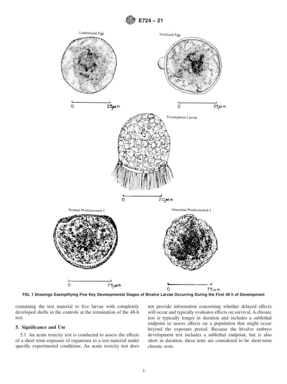 ASTM E724 - 21(1).pdf_第3页