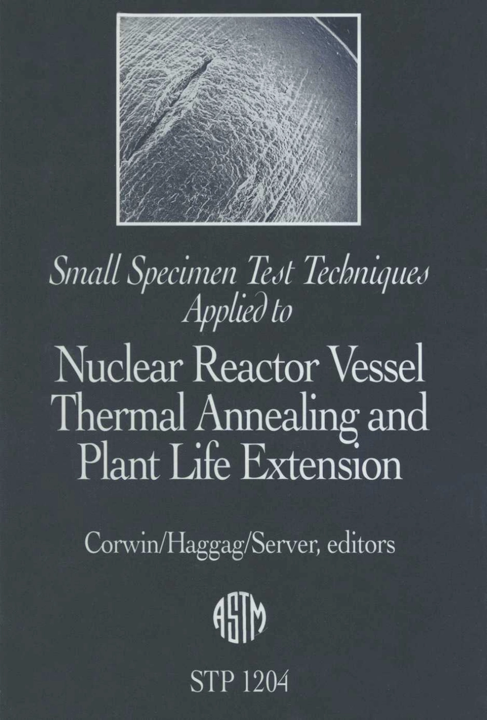 ASTM STP 1204-1993.pdf_第1页