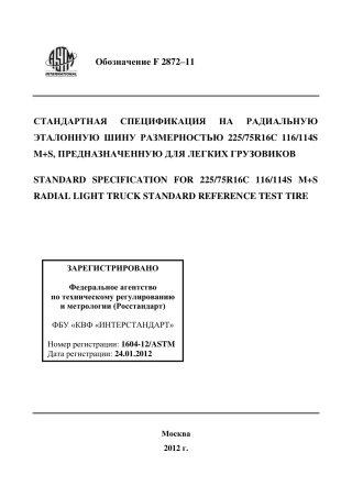 ASTM F2872 - 11 rus.pdf