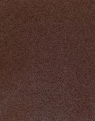 ASTM STP 170-C-1964.pdf