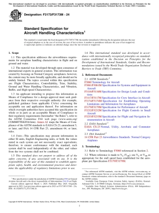 ASTM F3173 - F 3173M - 24.pdf