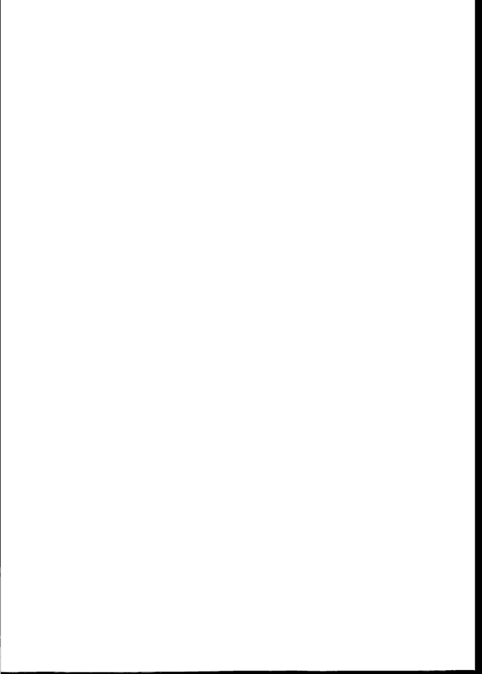 NBT 20424-2017 核电厂限流孔板设置要求.pdf_第2页