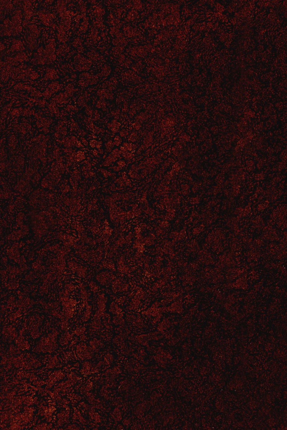 ASTM STP 255-1960.pdf_第1页