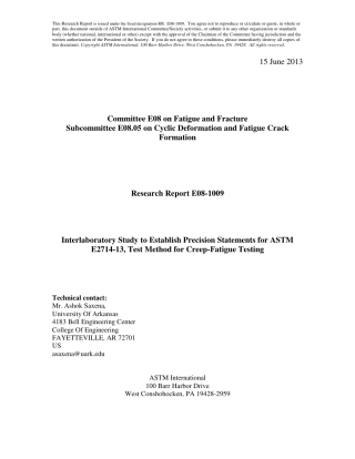 ASTM RR-E08-1009 2013.pdf