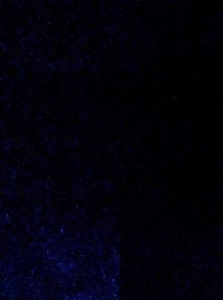 ASTM STP 109-1950.pdf