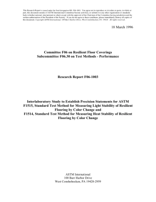 ASTM RR-F06-1003 1996.pdf