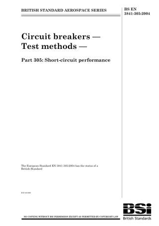BS EN 03841-305-2004.pdf