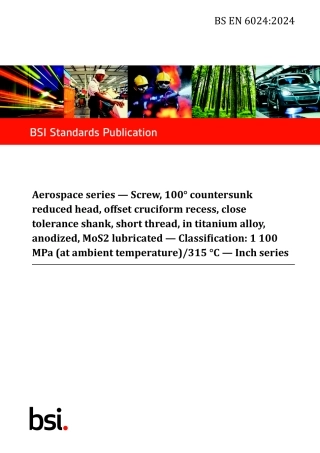 BS EN 06024-2024.pdf