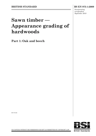 BS EN 00975-1-2009 (2010).pdf