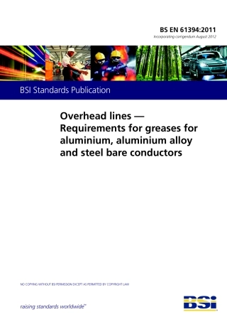 BS EN 61394-2011 (2012).pdf