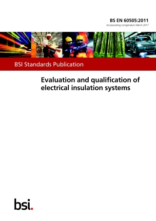 BS EN 60505-2011 (2017).pdf