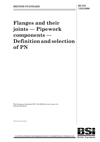 BS EN 01333-2006.pdf