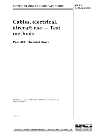 BS EN 03475-404-2002.pdf