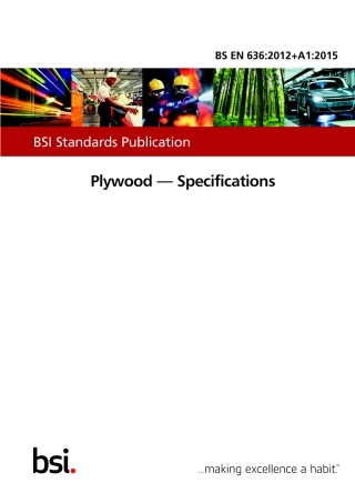 BS EN 00636-2012 + A1-2015.pdf