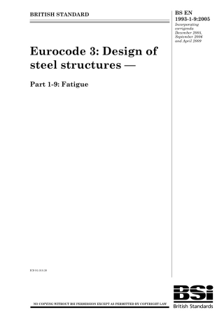 BS EN 01993-1-9-2005 (2010).pdf