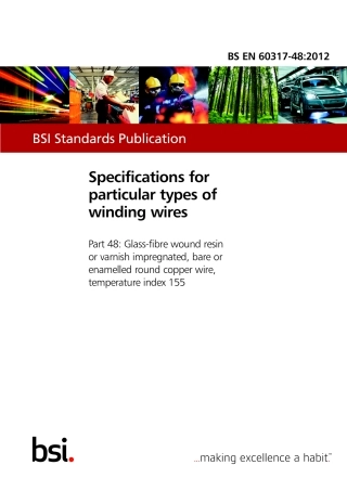 BS EN 60317-48-2012.pdf