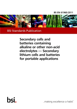 BS EN 61960-2011.pdf