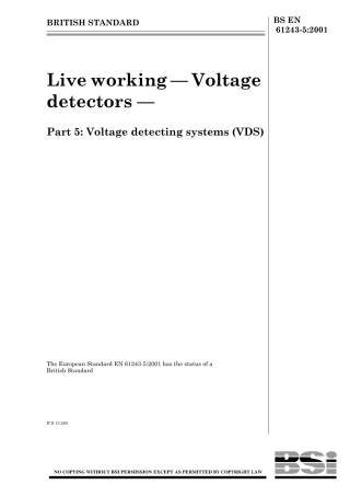BS EN 61243-5-2001.pdf