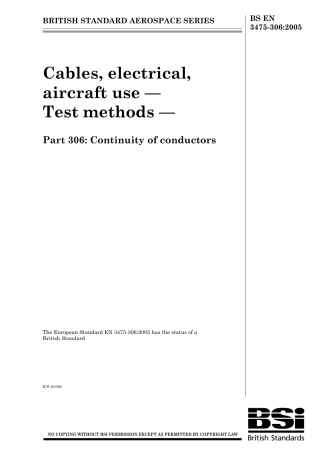 BS EN 03475-306-2005.pdf