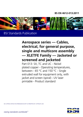 BS EN 04612-013-2011.pdf