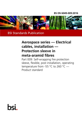 BS EN 06049-009-2016.pdf