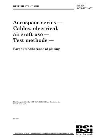 BS EN 03475-507-2007.pdf