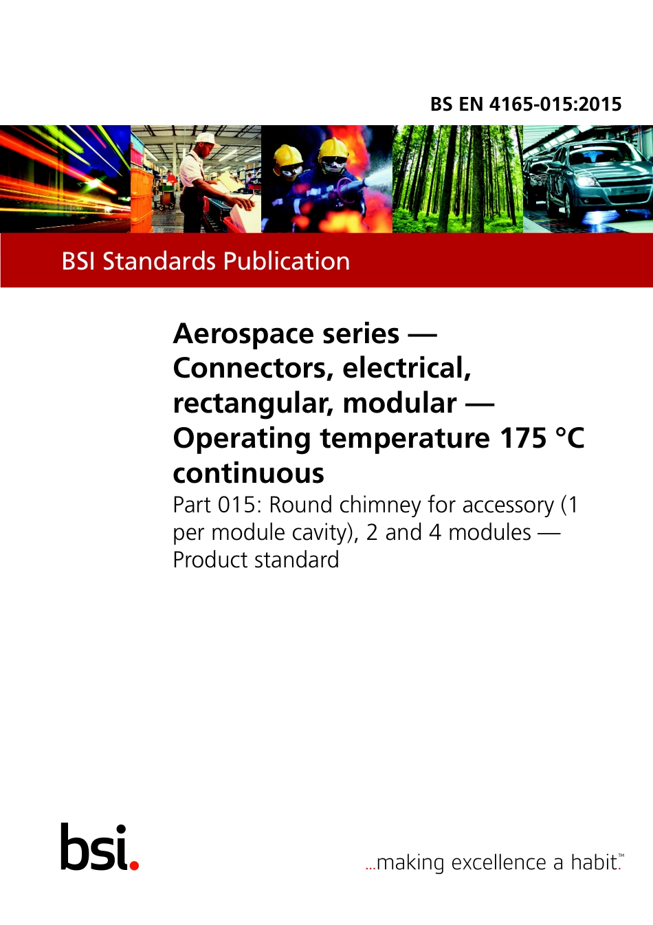 BS EN 04165-015-2015.pdf_第1页