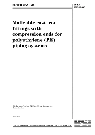 BS EN 10284-2000.pdf