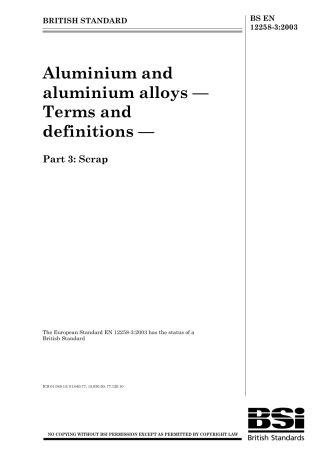 BS EN 12258-3-2003.pdf