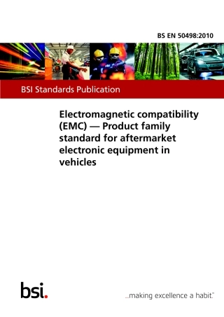 BS EN 50498-2010.pdf