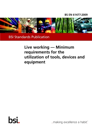 BS EN 61477-2009.pdf