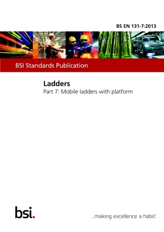 BS EN 00131-7-2013.pdf